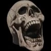 Evil Skull Prop