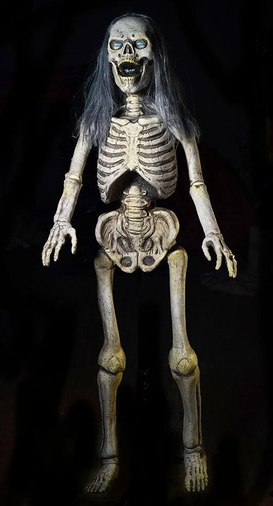 Hairy Scary Skeleton 1 Hairy Scary Skeleton