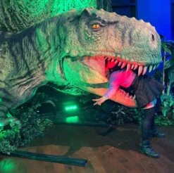 T-Rex Head Display 12 T-Rex Head Display -Distortions Unlimited Shop Trex mw4