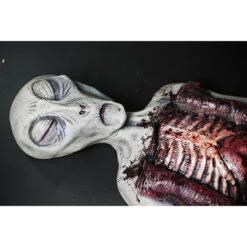 Alien Autopsy -Distortions Unlimited Shop alien aut face web