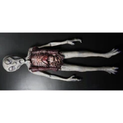 Alien Autopsy -Distortions Unlimited Shop alien aut4 web