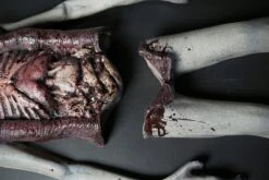 Alien Autopsy -Distortions Unlimited Shop alien autopsy halloween prop half