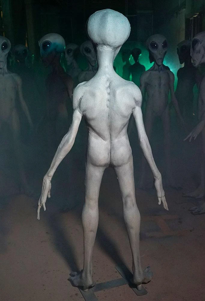 Roswell Alien Prop Display 3 Roswell Alien Prop Display - Image 3