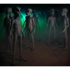 Roswell Alien Prop Display 14 Roswell Alien Prop Display -Distortions Unlimited Shop alien group web