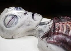 Alien Autopsy -Distortions Unlimited Shop alien prop autopsy