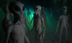 Roswell Alien Prop Display 16 Roswell Alien Prop Display -Distortions Unlimited Shop alien roswell prop cu