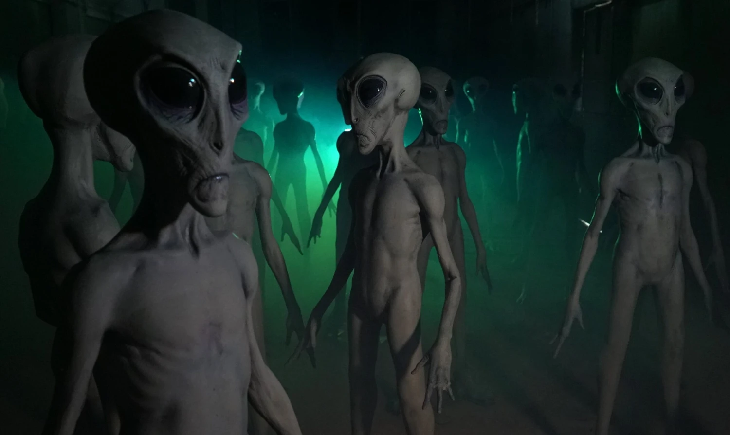 Roswell Alien Prop Display 8 Roswell Alien Prop Display - Image 8