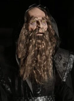 Ancient Wizard -Distortions Unlimited Shop ancient wizard animatronic face