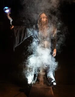 Ancient Wizard -Distortions Unlimited Shop ancient wizard talking animatronic