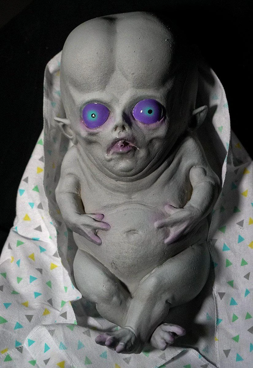 Baby Creeton 4 Baby Creeton - Image 4