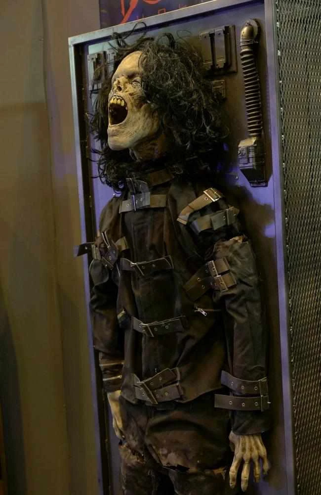 Body Of Evidence 1 Body Of Evidence