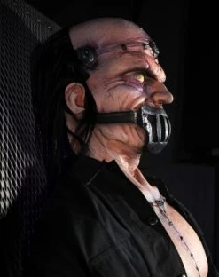 Bolt -Distortions Unlimited Shop bolt side face