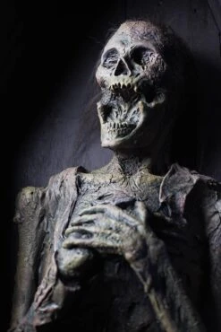 Death -Distortions Unlimited Shop death face web