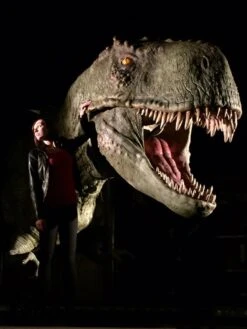 T-Rex Animatronic -Distortions Unlimited Shop distortions trex