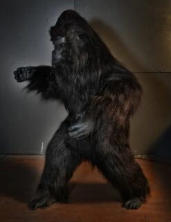 Gorilla Costume - Movie -Distortions Unlimited Shop gorilla costume side