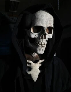 The Reaper -Distortions Unlimited Shop grim reaper face