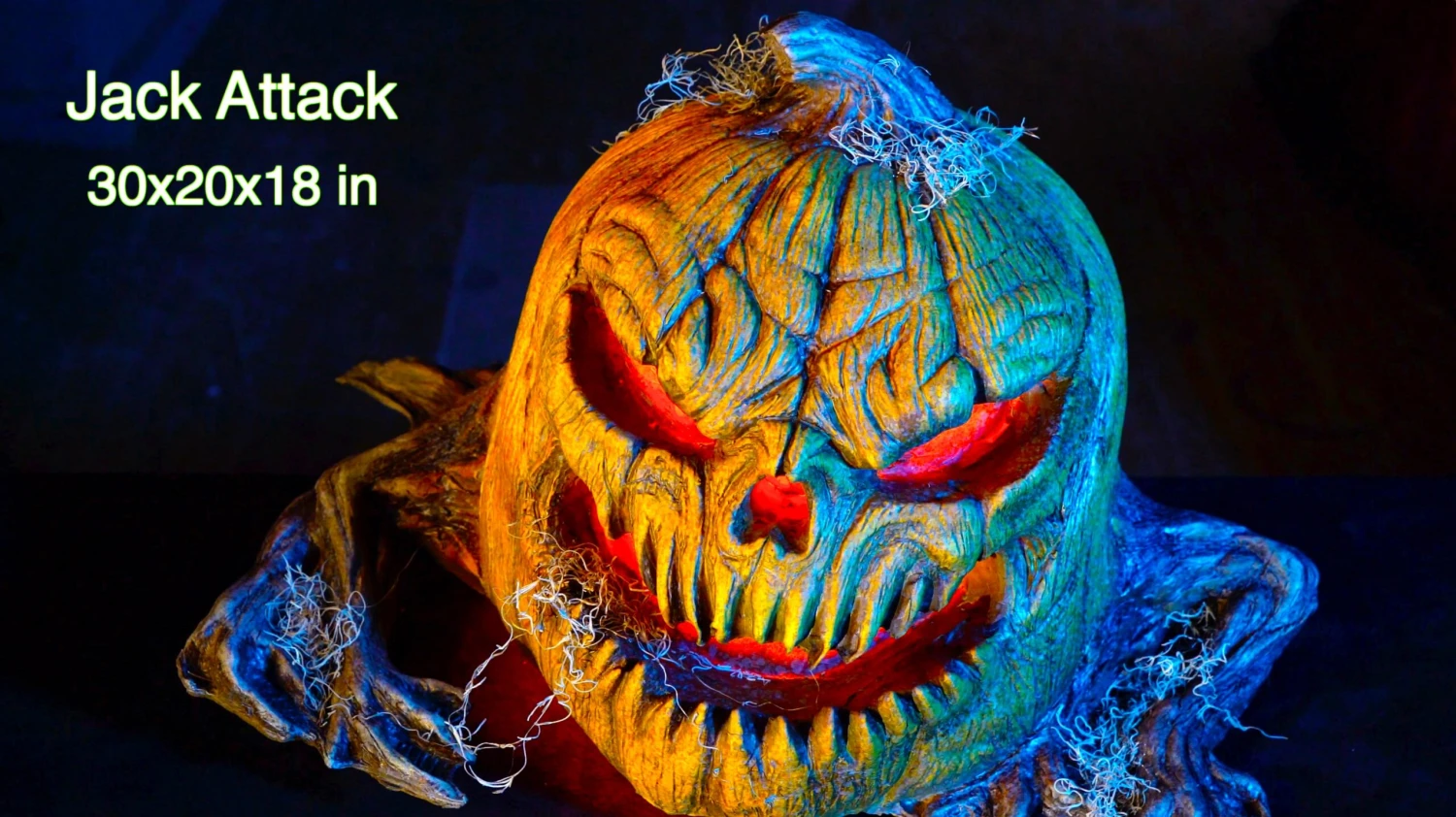 Pumpkin Patch Combo 7 Pumpkin Patch Combo - Image 7