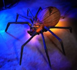 Jack Widow -Distortions Unlimited Shop jack widow halloween spider