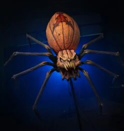 Jack Widow -Distortions Unlimited Shop jack widow pumpkin spider prop 7