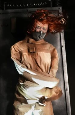 Krazy Kristen 14 Krazy Kristen -Distortions Unlimited Shop krazy kristen animatronic shaking