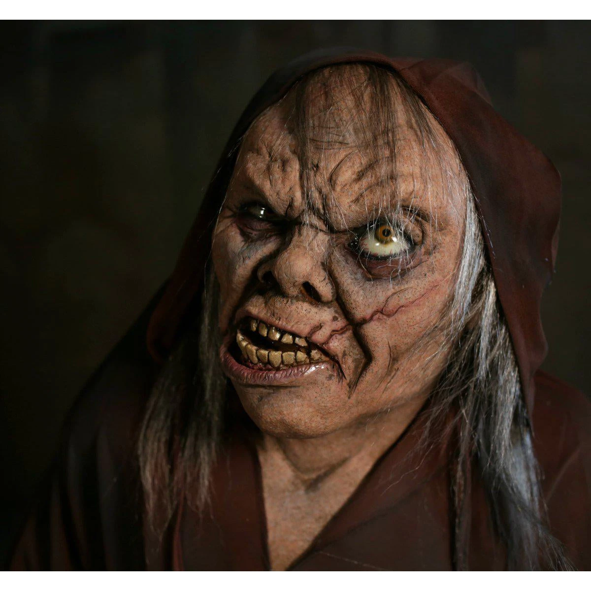 Minion Legend, The 4 Minion Legend, The - Image 4