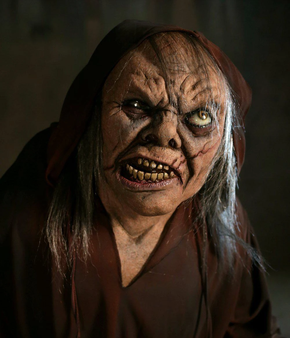 Minion Legend, The 5 Minion Legend, The - Image 5