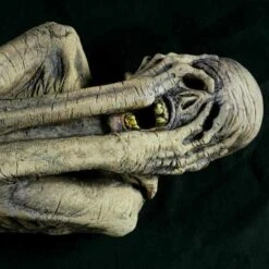 Ancient Mummy