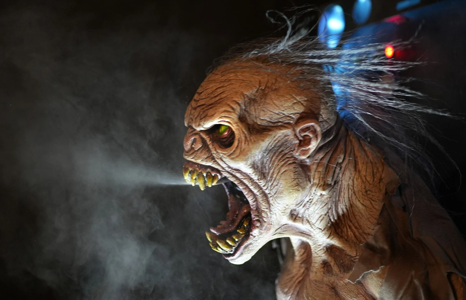 Mutant 11 Mutant - Image 11