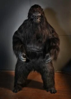Gorilla Costume - Movie