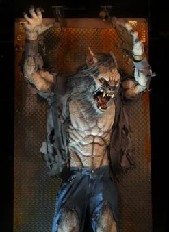 Scare Wolf -Distortions Unlimited Shop scare wolf animatronic werewolf 2