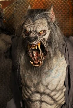 Scare Wolf -Distortions Unlimited Shop scare wolf werewolf prop face