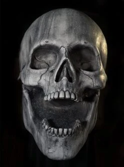 Stone Skull -Distortions Unlimited Shop stone skull web