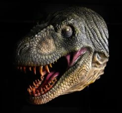 T Rex Head Wall Mount Prop -Distortions Unlimited Shop t rex dino head latex prop 5