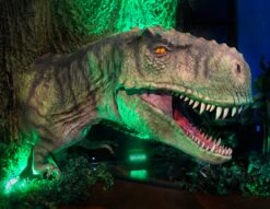 T-Rex Animatronic