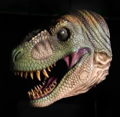 T Rex Head Wall Mount Prop -Distortions Unlimited Shop trex green side md 3f77d92e 97d9 4016 8fad 8741dd8be86f