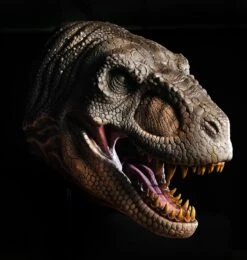 T Rex Head Wall Mount Prop -Distortions Unlimited Shop trex grey head md