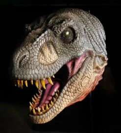 T Rex Head Wall Mount Prop -Distortions Unlimited Shop trex haed mount grey good md