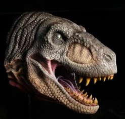 T Rex Head Wall Mount Prop -Distortions Unlimited Shop trex head prop grey md bd93ea7d 9581 47e7 8513 6969cb1836f0