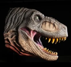 T Rex Head Wall Mount Prop -Distortions Unlimited Shop trex head wall mount grey side md