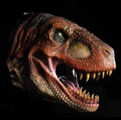 T Rex Head Wall Mount Prop -Distortions Unlimited Shop trex head wall mount red side md 0a7f0ffd ad33 474b b579 a4a50377b161