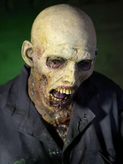 Zombie -Distortions Unlimited Shop zombie face side sm